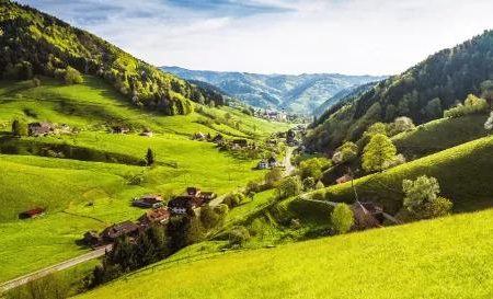 Busreis In het hart van het Zwarte Woud Schwarzwald_goedkoopstezomervakantie.nl