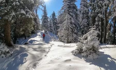 Winterwandelreis Karinthië Karinthië_goedkoopstezomervakantie.nl