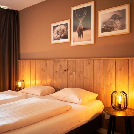 Appartementen Studio in de plaats Oberhambach_goedkoopstezomervakantie.nl