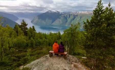 Cruise Noorse Fjorden met het Sognefjord (02-08-2026)_Diverse streken_goedkoopstezomervakantie.nl