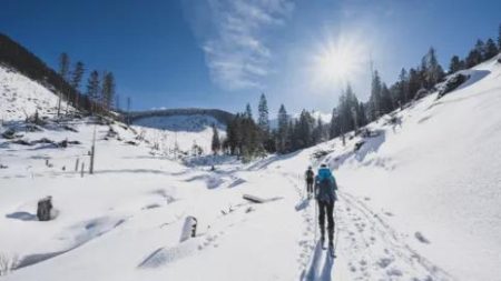 Langlauf- en wandelreis Nassereith in Tirol_Tirol_goedkoopstezomervakantie.nl