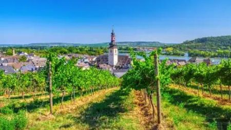 Riviercruise Beleef de Rijnromantiek naar Rüdesheim_Diverse streken_goedkoopstezomervakantie.nl
