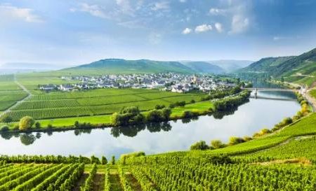 Riviercruise De Rijn en Moezel op zijn mooist_Diverse streken_goedkoopstezomervakantie.nl