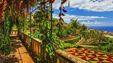 Vlieg-busreis Bloemrijk Madeira_Madeira_goedkoopstezomervakantie.nl
