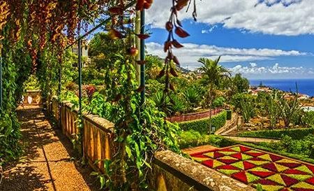 Vlieg-busreis Bloemrijk Madeira_Madeira_goedkoopstezomervakantie.nl