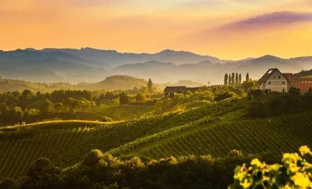 Vliegreis Andrea Bocelli in Toscane_Toscane_goedkoopstezomervakantie.nl