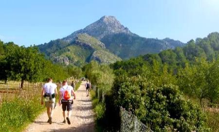 Wandel 4-daagse Mallorca Hotel Entrador Playa (11 april)_Mallorca_goedkoopstezomervakantie.nl