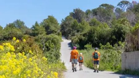 Wandel 4-daagse Mallorca Hotel Parque Nereida (12-04)_Mallorca_goedkoopstezomervakantie.nl