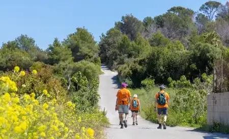 Wandel 4-daagse Mallorca Hotel Parque Nereida (12-04)_Mallorca_goedkoopstezomervakantie.nl