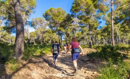 Wandel 4-daagse Mallorca Hotel Parque Nereida ****_Mallorca_goedkoopstezomervakantie.nl