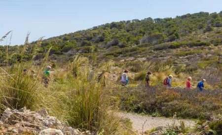 Wandel 4-daagse Marbella Hotel Monarque El Rodeo_Costa del Sol_goedkoopstezomervakantie.nl