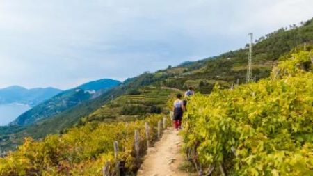 Wandel- en excursiereis Cinque Terre_Liguria_goedkoopstezomervakantie.nl
