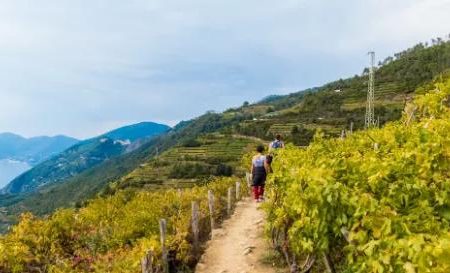 Wandel- en excursiereis Cinque Terre_Liguria_goedkoopstezomervakantie.nl