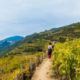 Wandel- en excursiereis Cinque Terre_Liguria_goedkoopstezomervakantie.nl