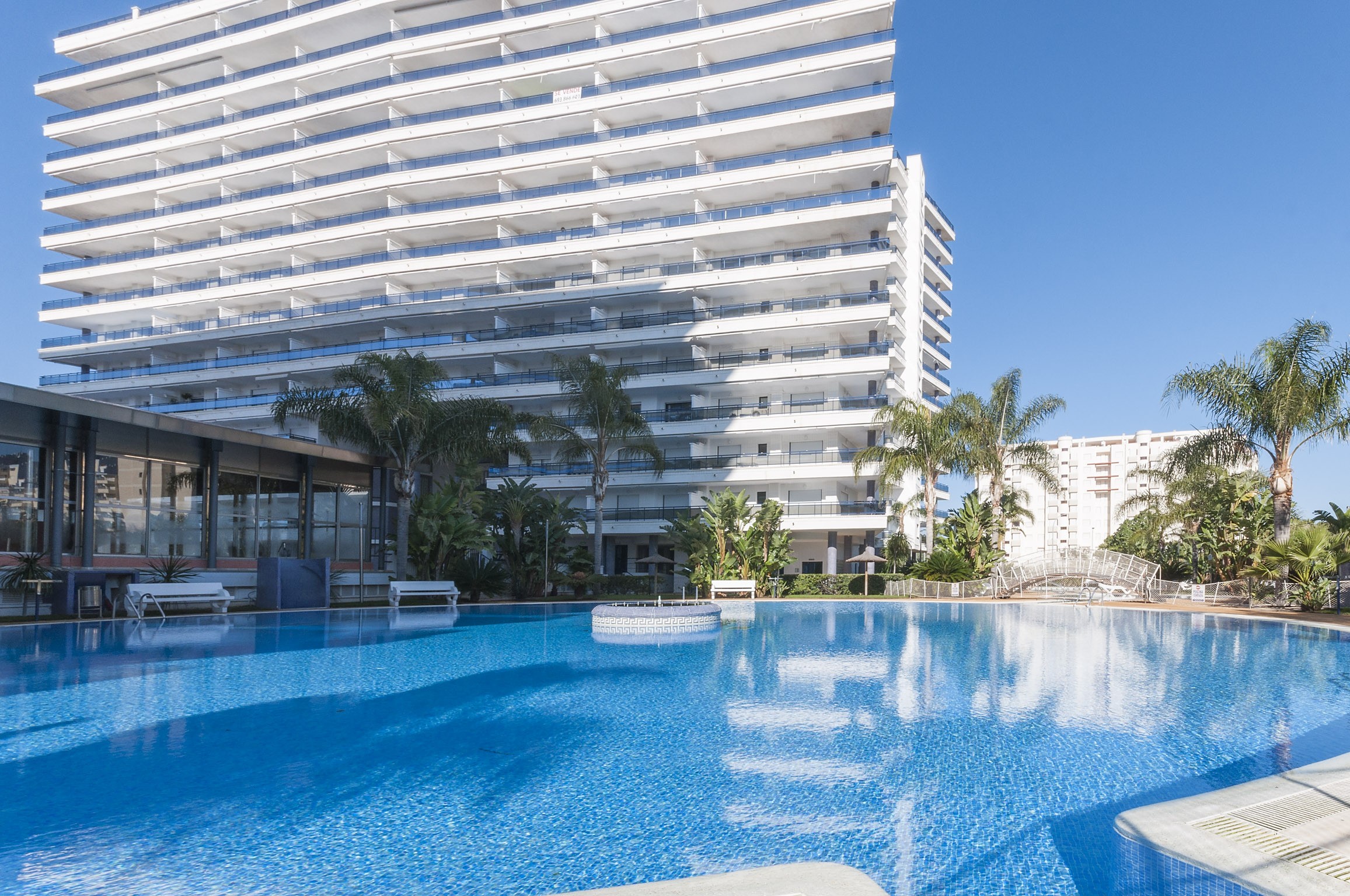 Alejandrita_goedkoopstezomervakantie.nl