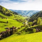 Busreis In het hart van het Zwarte Woud_goedkoopstezomervakantie.nl