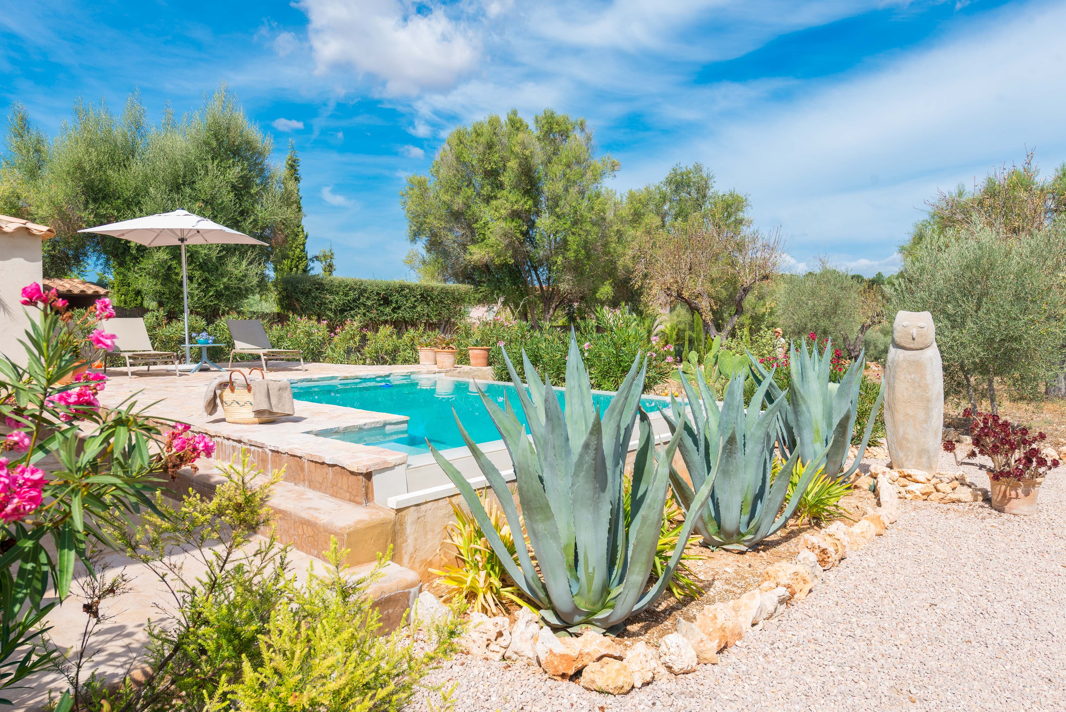 Can Pina - Eco Cascada -_goedkoopstezomervakantie.nl