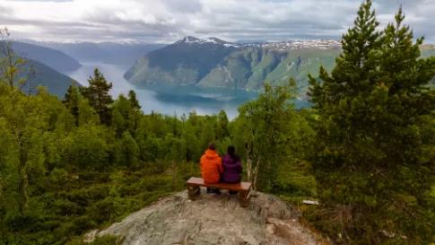 Cruise Noorse Fjorden met het Sognefjord (02-08)_goedkoopstezomervakantie.nl