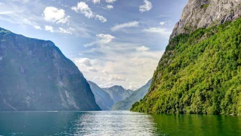 Cruise Noorse Fjorden met het Sognefjord (28-06-2026)_goedkoopstezomervakantie.nl
