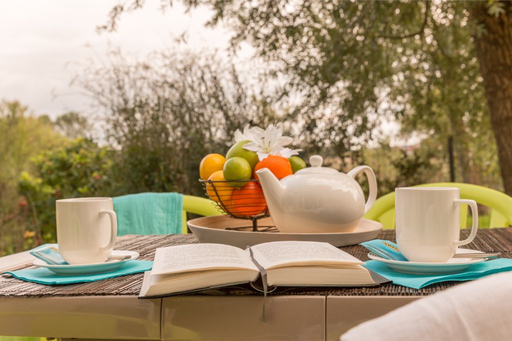 Le Chant des Oiseaux 2p4p renové_goedkoopstezomervakantie.nl