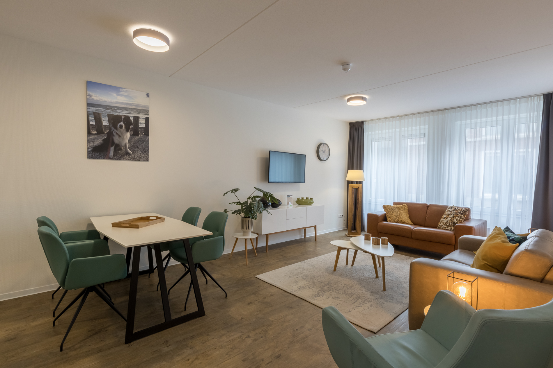 Luxury 4 pers apartment (pet allowed) |_goedkoopstezomervakantie.nl