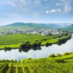 Riviercruise De Rijn en Moezel op zijn mooist_goedkoopstezomervakantie.nl