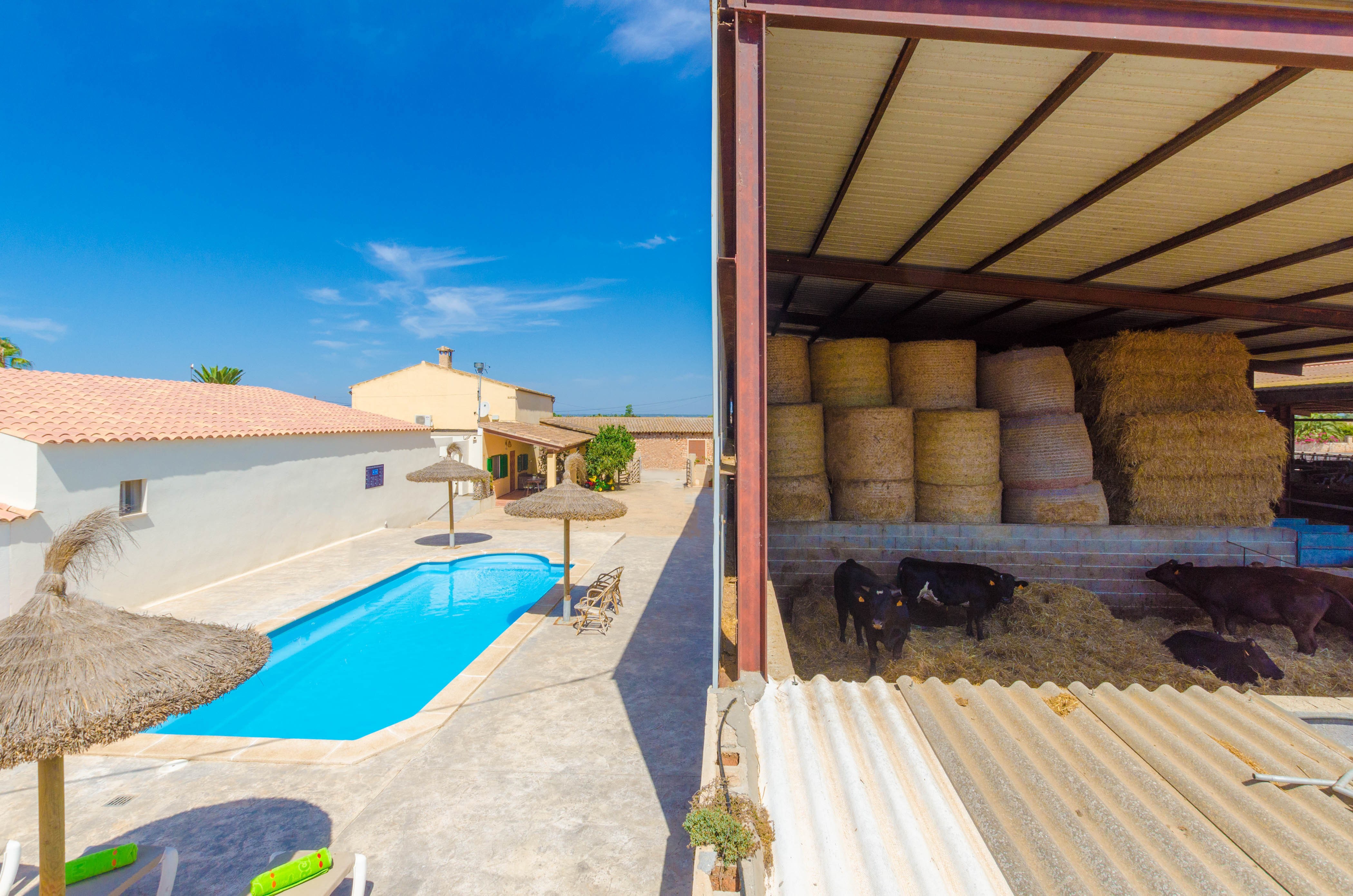 Sa Caseta De Ses Vaques.son Covas (Sa Vaqueria 2)_goedkoopstezomervakantie.nl