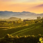 Vliegreis Andrea Bocelli in Toscane_goedkoopstezomervakantie.nl