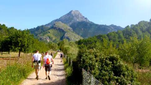 Wandel 4-daagse Mallorca Hotel Entrador Playa ****_goedkoopstezomervakantie.nl