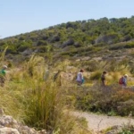 Wandel 4-daagse Marbella Hotel Monarque El Rodeo_goedkoopstezomervakantie.nl