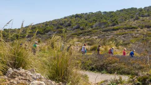 Wandel 4-daagse Marbella Hotel Monarque El Rodeo_goedkoopstezomervakantie.nl