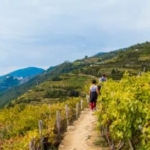 Wandel- en excursiereis Cinque Terre_goedkoopstezomervakantie.nl