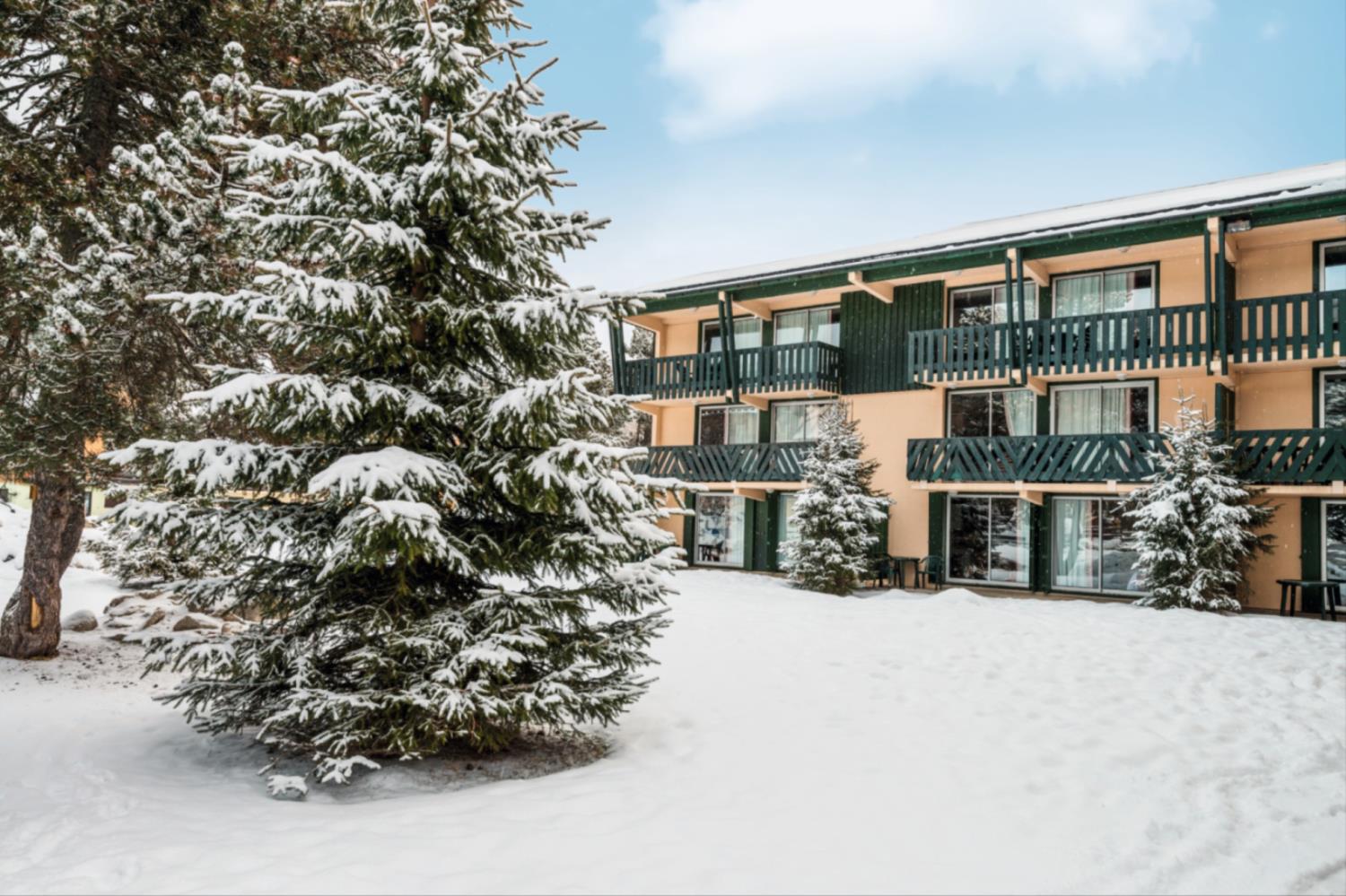 Le Sequoia 2p6p_goedkoopstezomervakantie.nl