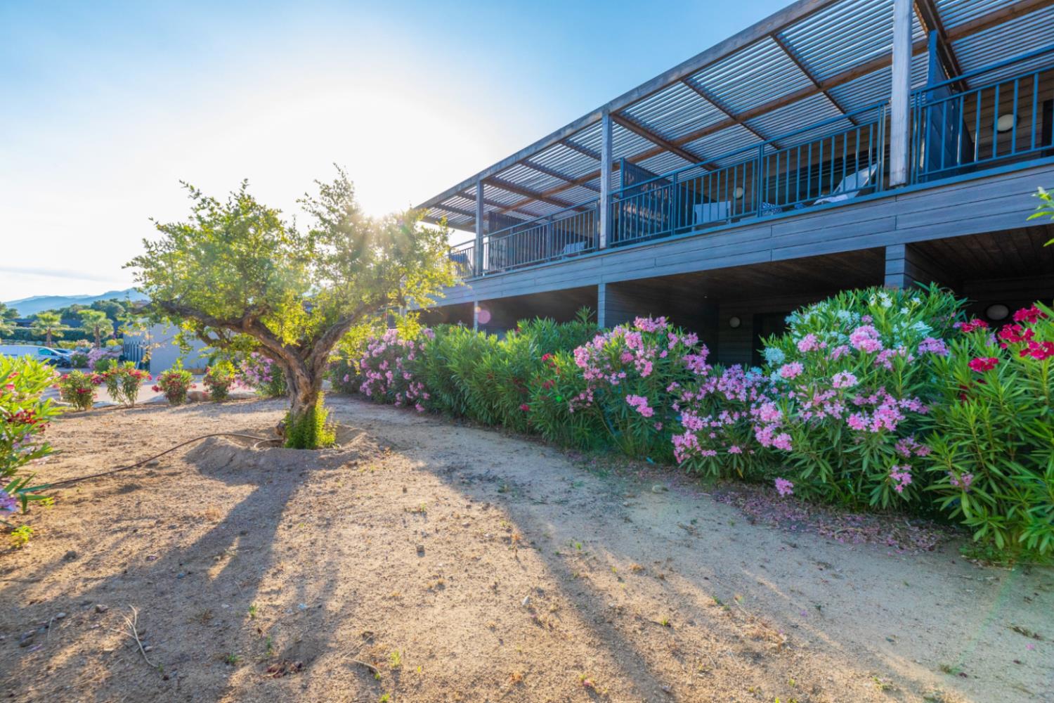 Les Terrasses d'Arsella Studio 2p_goedkoopstezomervakantie.nl
