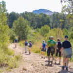 Wandel 4-daagse Mallorca Hotel Bella Playa & Spa (11-04)_goedkoopstezomervakantie.nl