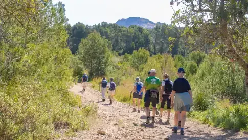 Wandel 4-daagse Mallorca Hotel Bella Playa & Spa (11-04)_goedkoopstezomervakantie.nl