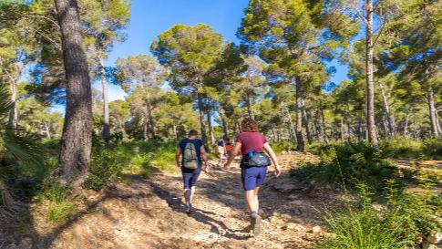 Wandel 4-daagse Mallorca Hotel Parque Nereida (11-04)_goedkoopstezomervakantie.nl